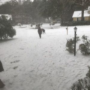 Meet your Posher, Lynette